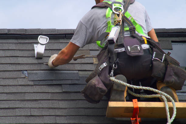 Best Roof Gutter Cleaning  in Niles, OH