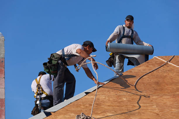 Best Roof Waterproofing Services  in Niles, OH