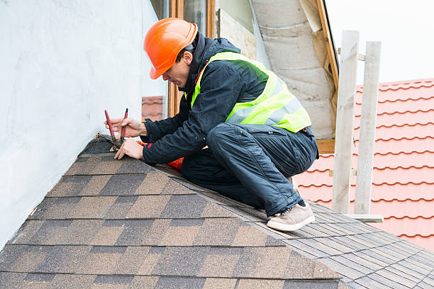 Best Roofing Contractors for Homes  in Niles, OH