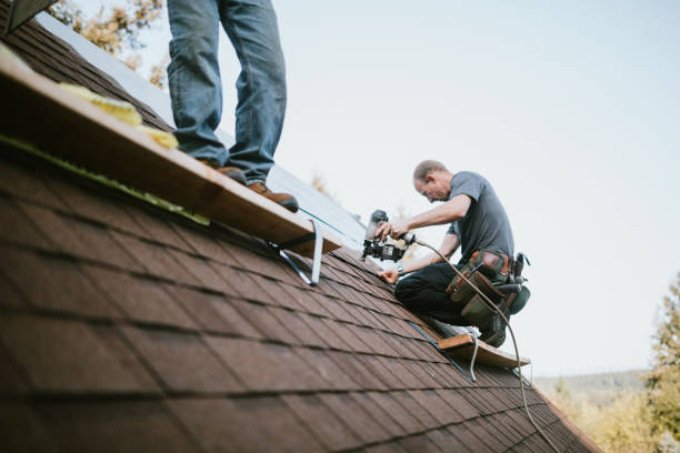Best Gutter Installation and Roofing  in Niles, OH