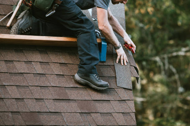 Best Gutter Installation and Roofing  in Niles, OH